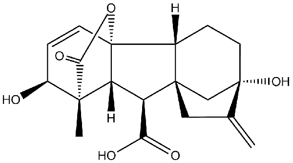 赤霉素GIBBERELLIC ACID，居然有這么神奇？